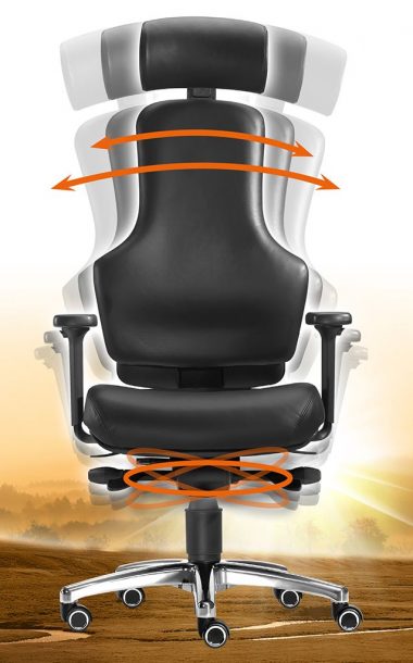 SITWELL Ortholetic L schwarz
